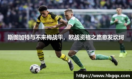 MK体育