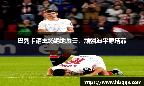 MK体育